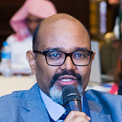 حسام الدين شمبول