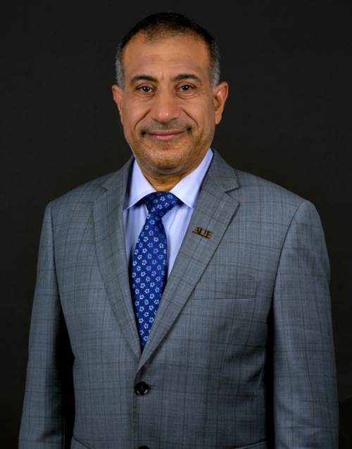 الأستاذ الدكتور. طارق محمود عبد السلام